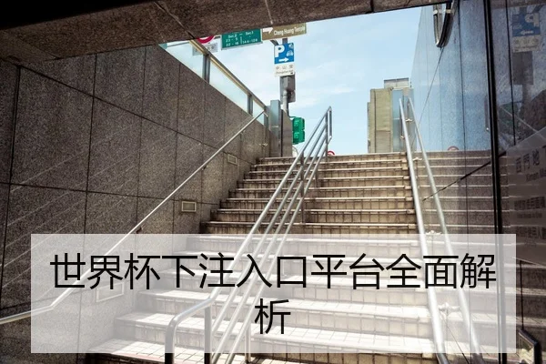 世界杯下注入口平台全面解析