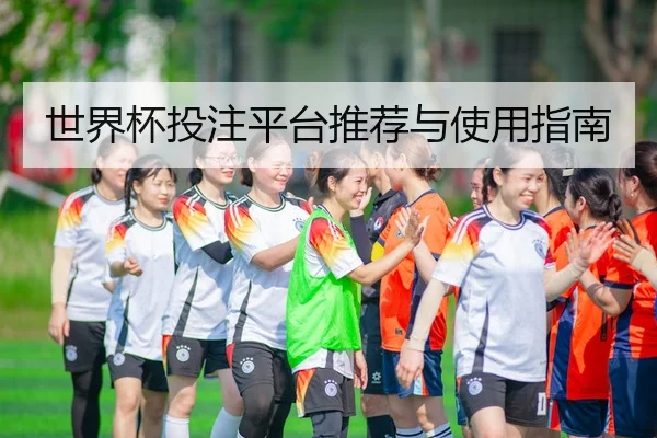 世界杯投注平台推荐与使用指南