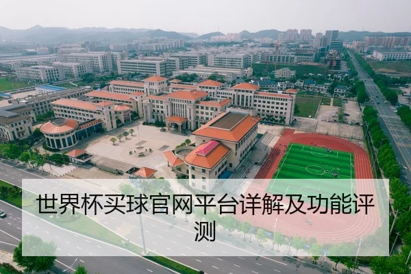 世界杯买球官网平台详解及功能评测