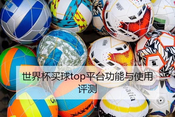 世界杯买球top平台功能与使用评测