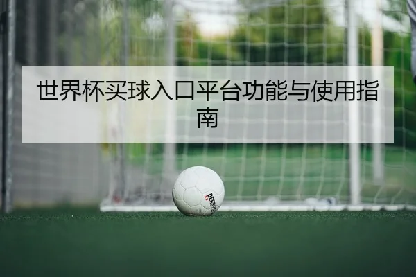世界杯买球入口平台功能与使用指南